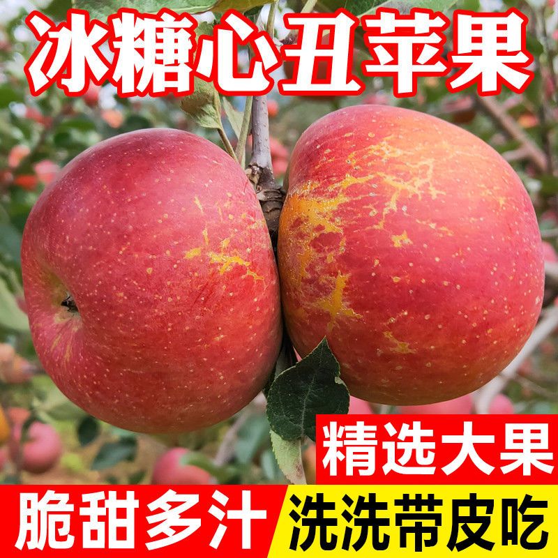 ڴɽƻˮʺ츻ʿƻ5/10
