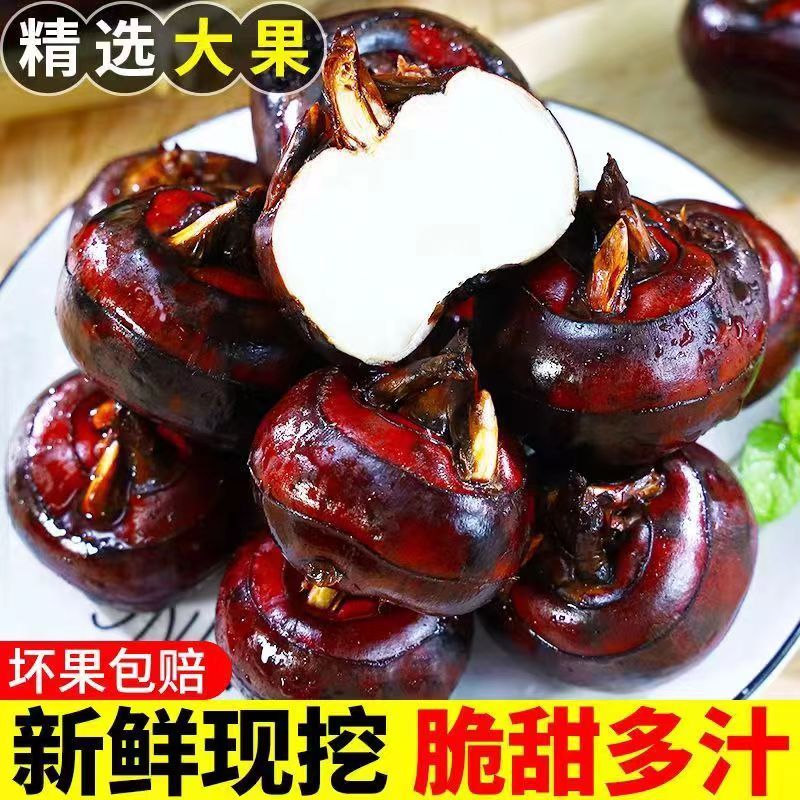 ڰ®ݩڴӦˮ߲˵5
