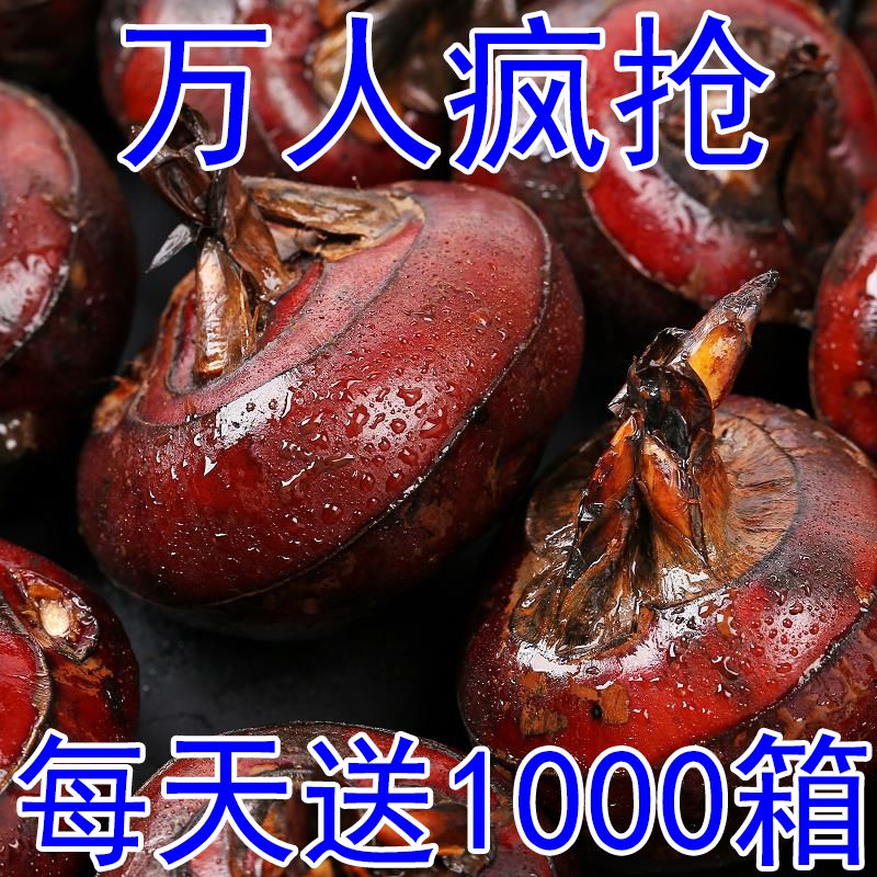 شũڡˮݩˮ߲˵
