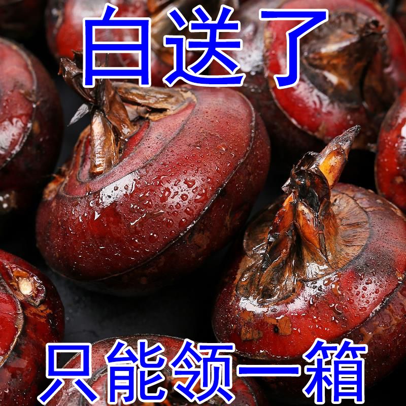 شũڡˮݩˮ߲˵
