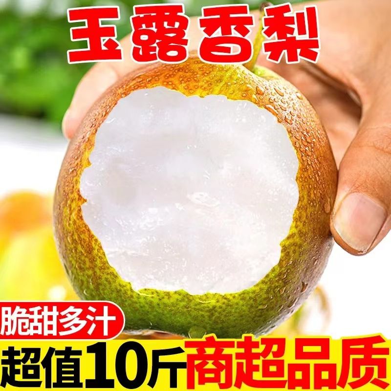 ɽ¶5/10ˮӦ֭
