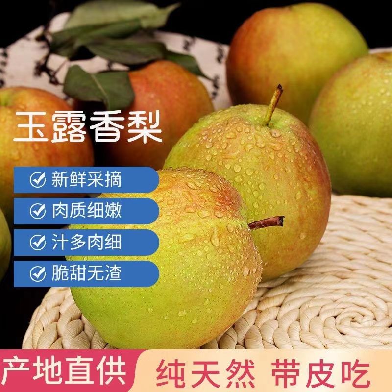 ɽ¶5/10ˮӦ֭
