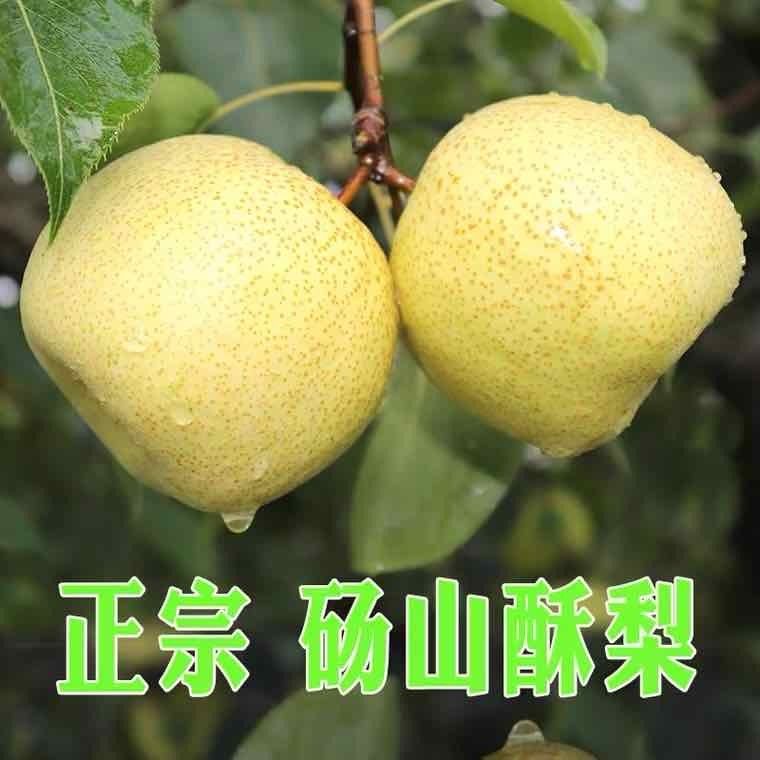 ɽˮˮ Ӧˮʹиˮ
