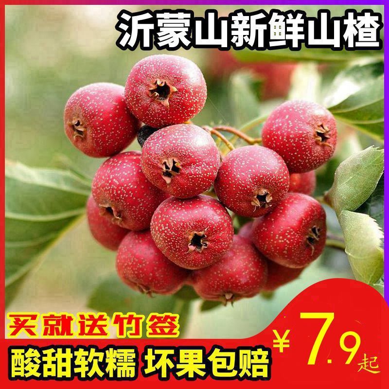 ɽ髴ɽ髹ѺɽˮʹǺ«

