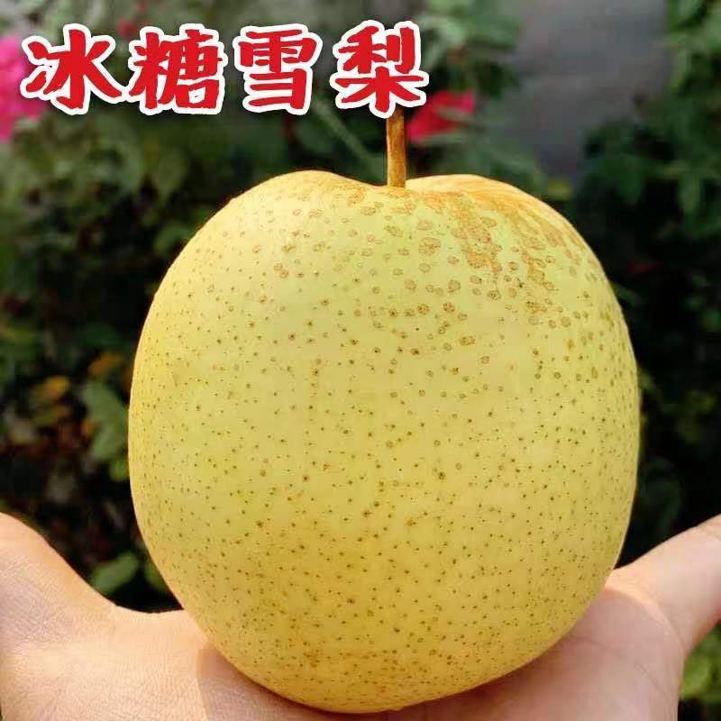 ѩӱѩ10ѩˮˮ35
