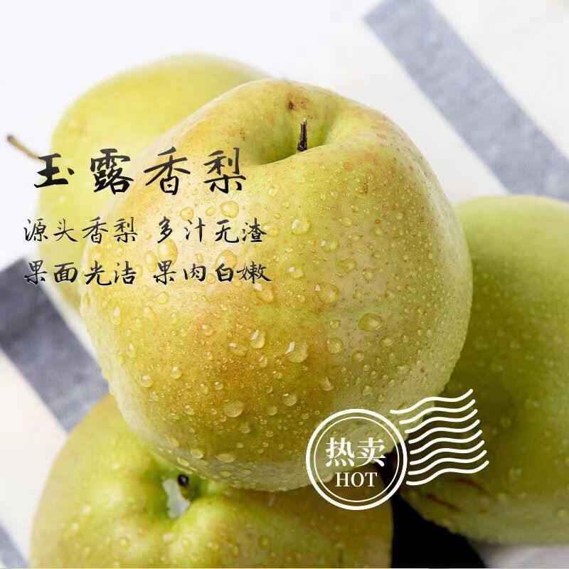 ɽ¶5/10ˮӦ֭
