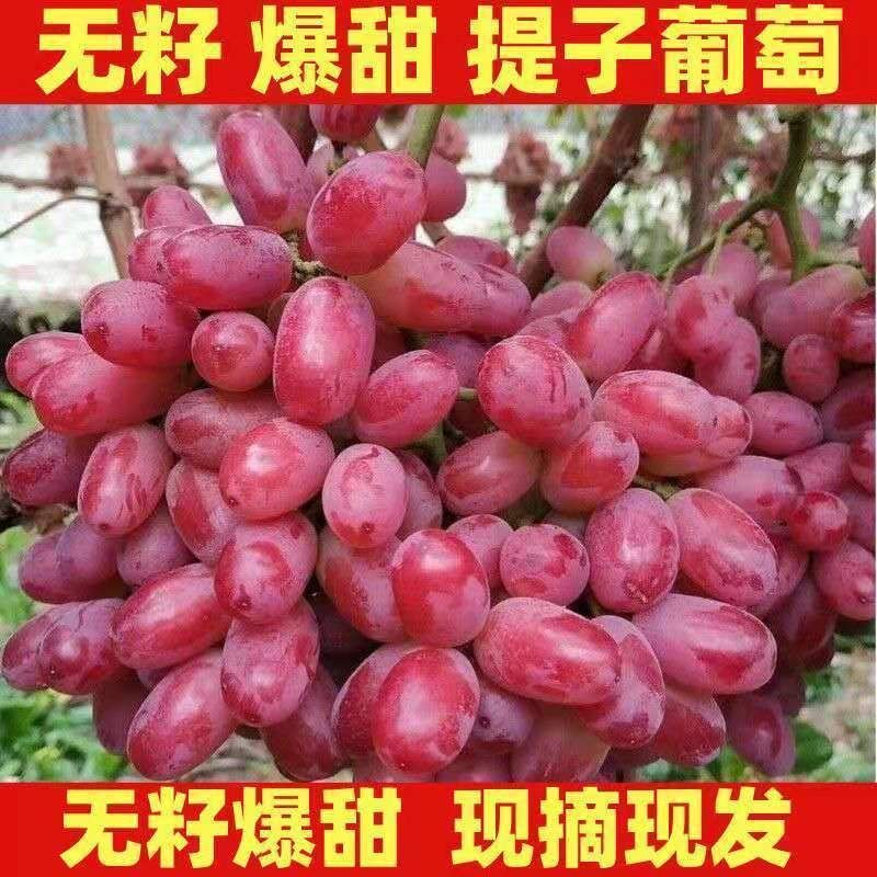 ѺѾƷѺӦˮ
