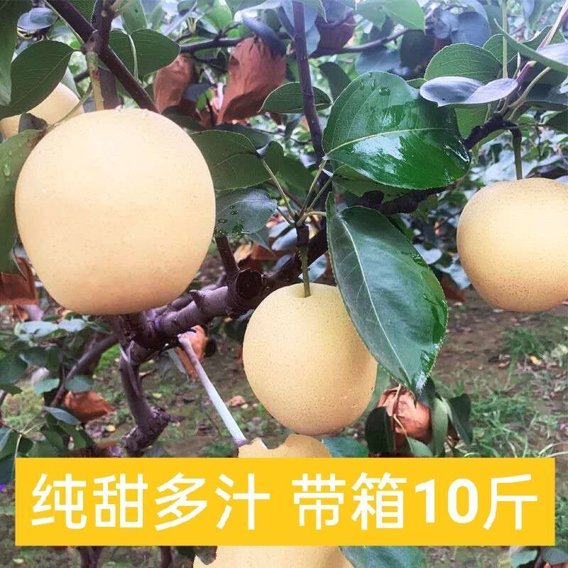 ӱʹӦˮ 污Ƥ ˮ3/5/10װѩ