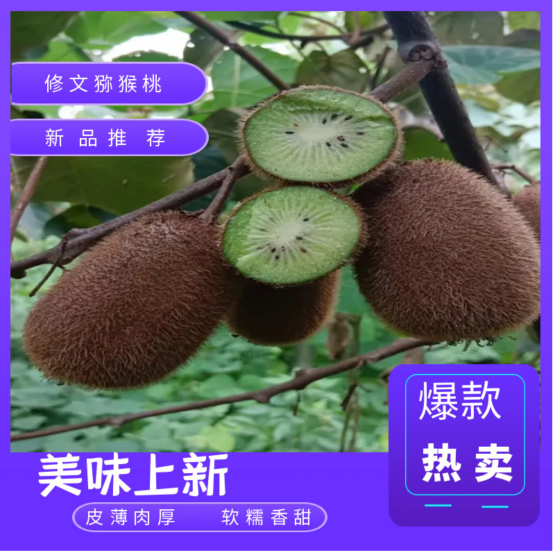 ⨺ĹزһƷֱҰǺ