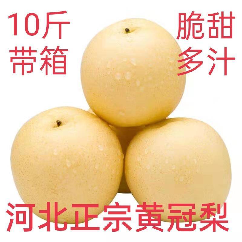 ӱʹӦˮ 污Ƥ ˮ3/5/10װѩ