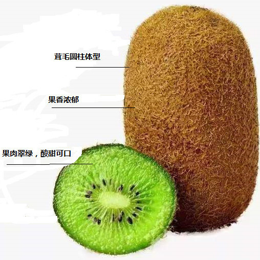 ⨺ĹزһƷֱҰǺ