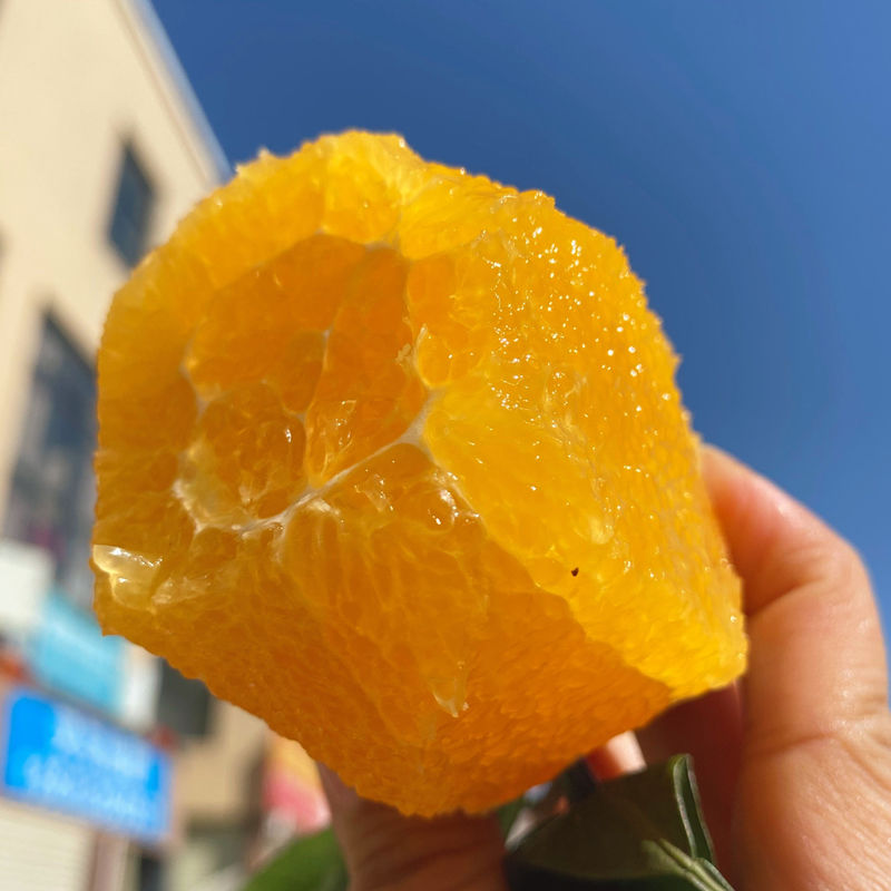 ũƷڸʳӸݾƷȽӰ