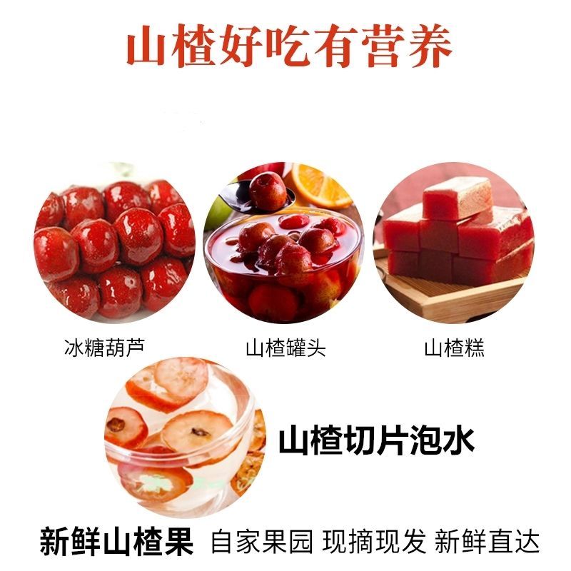 ɽ髹װɽժɽɽǺ«Ƭʹ
