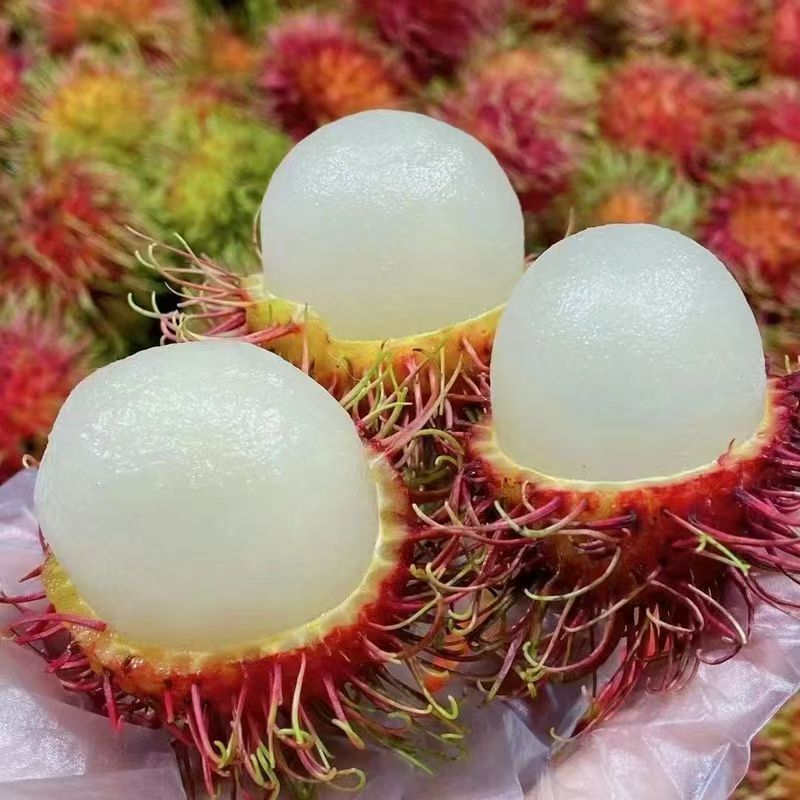 ԽϺëˮë֦ժӦˮȴˮ