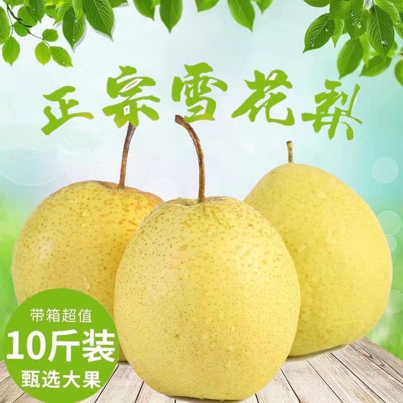 ѩӱѩ10ѩˮˮ35
