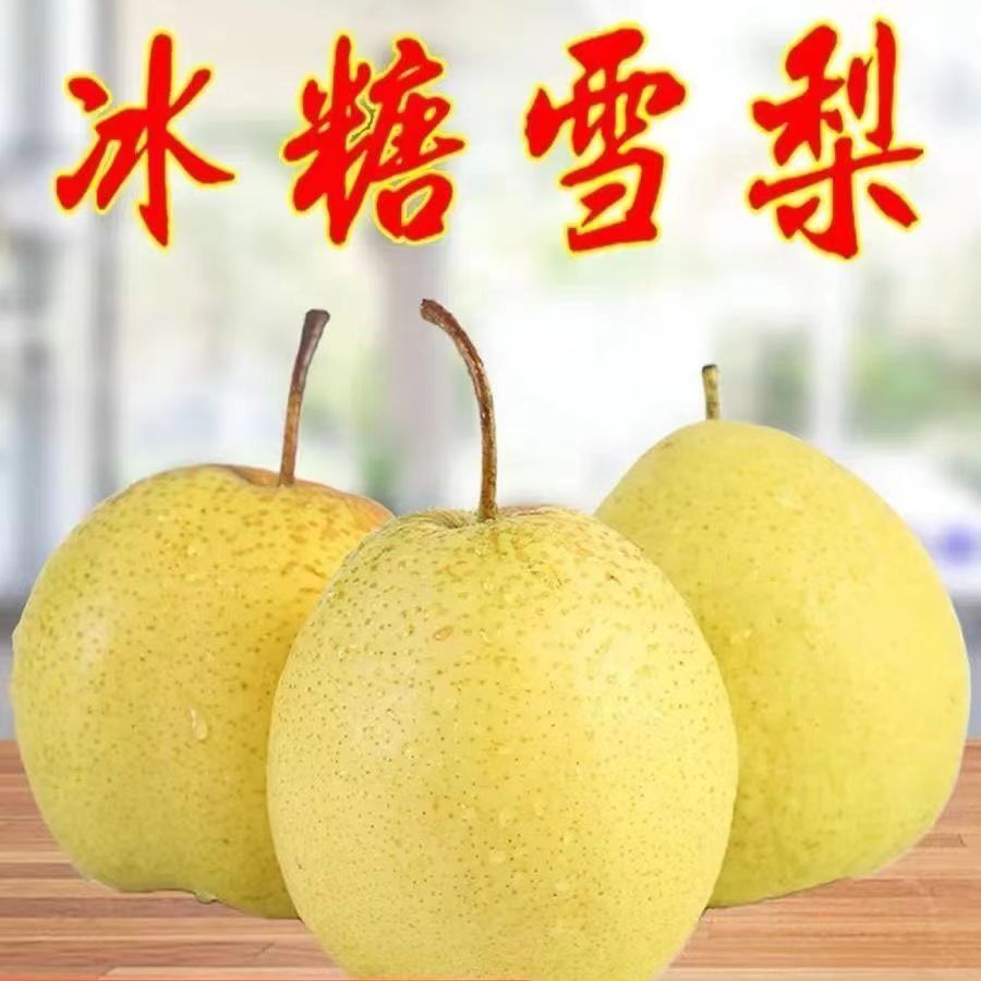 ѩӱѩ10ѩˮˮ35
