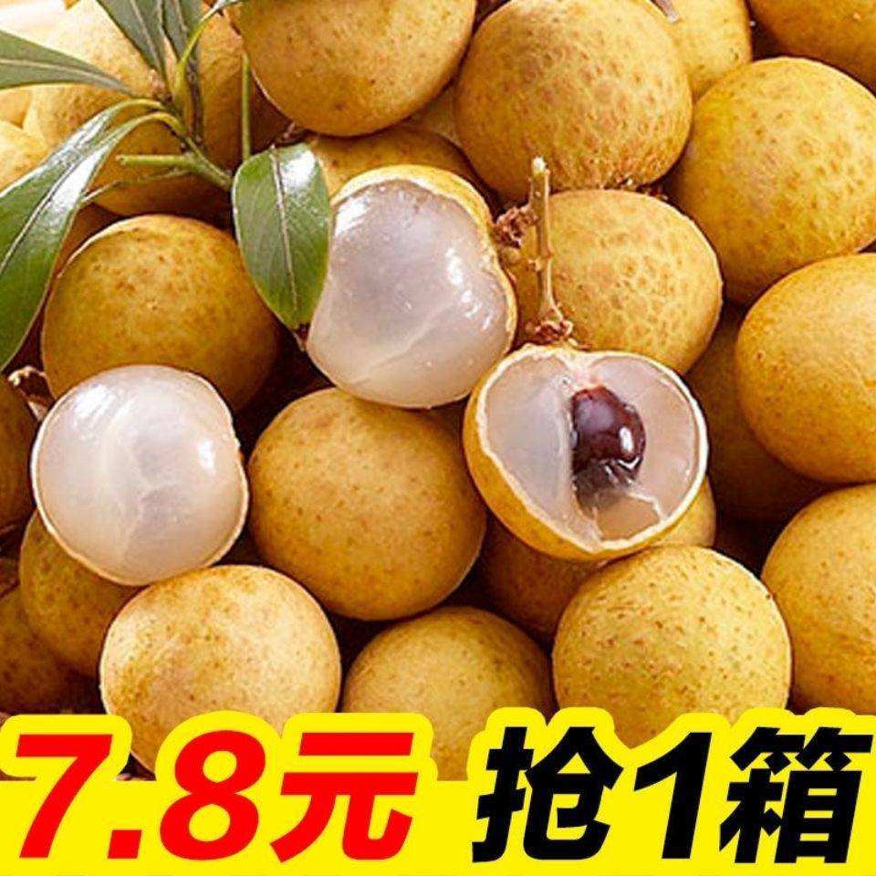 ̩ʽ 1-5װиˮԲ
