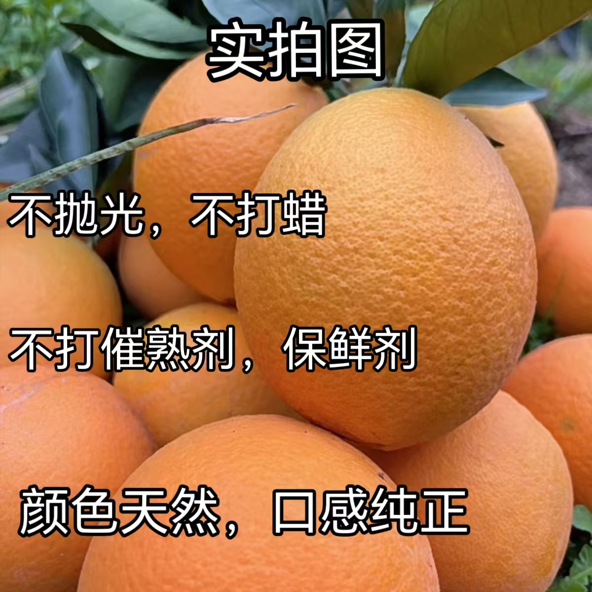 үүһѪճɣݴӿժַʹ
