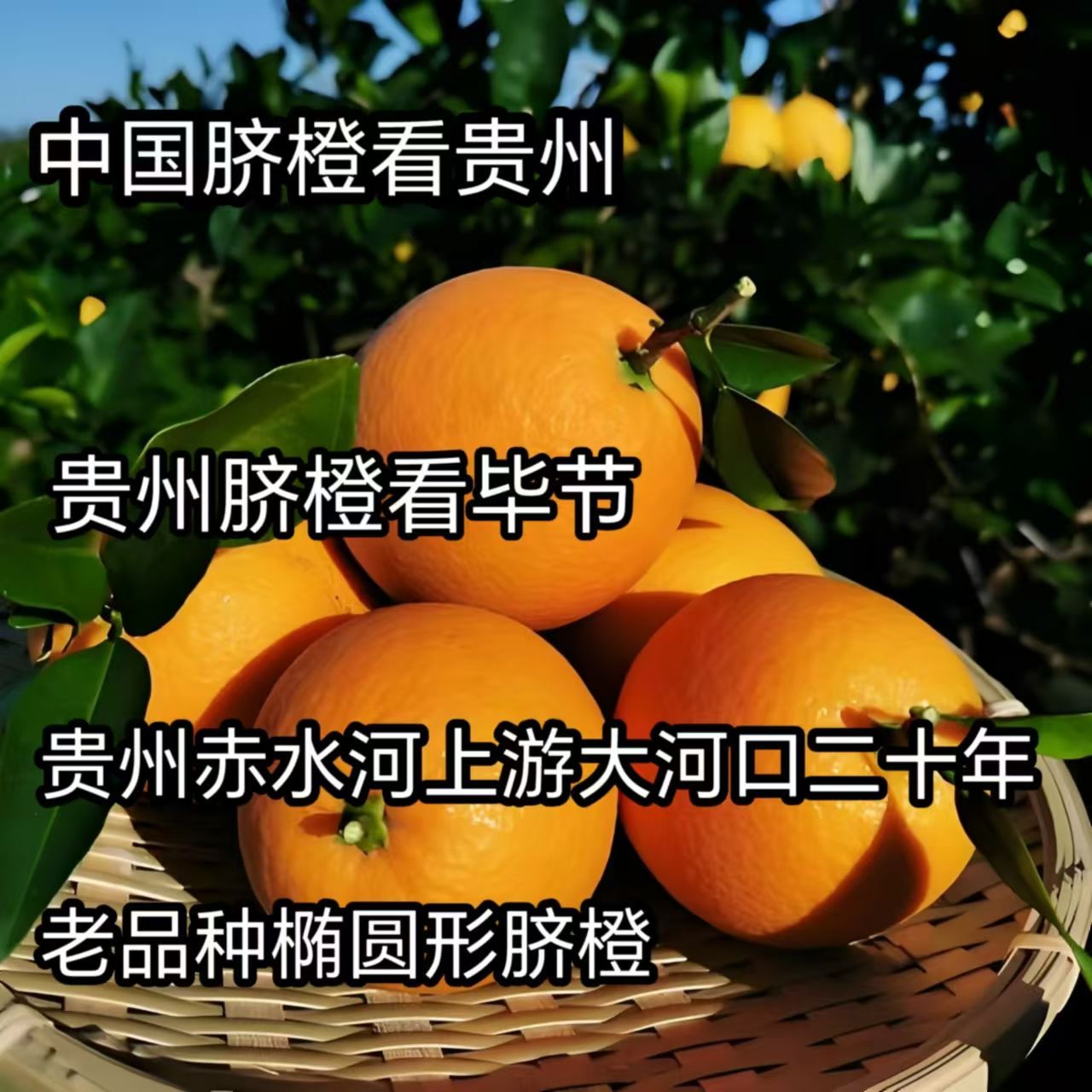 үүһѪճɣݴӿժַʹ

