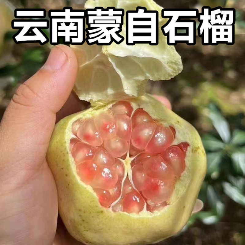ˮƤʯ ˮ ͻ˹ʯ
