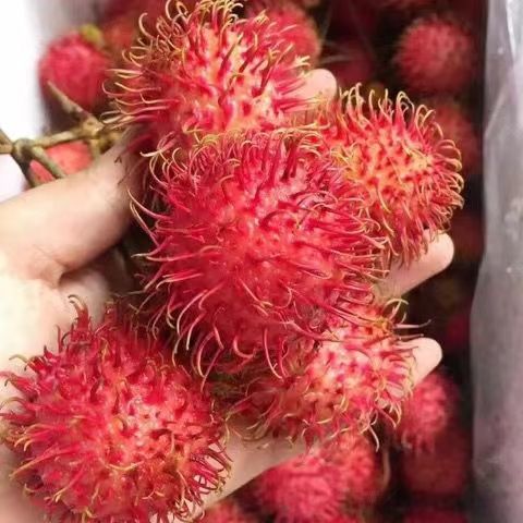 ԽϺëˮë֦ժӦˮȴˮ
