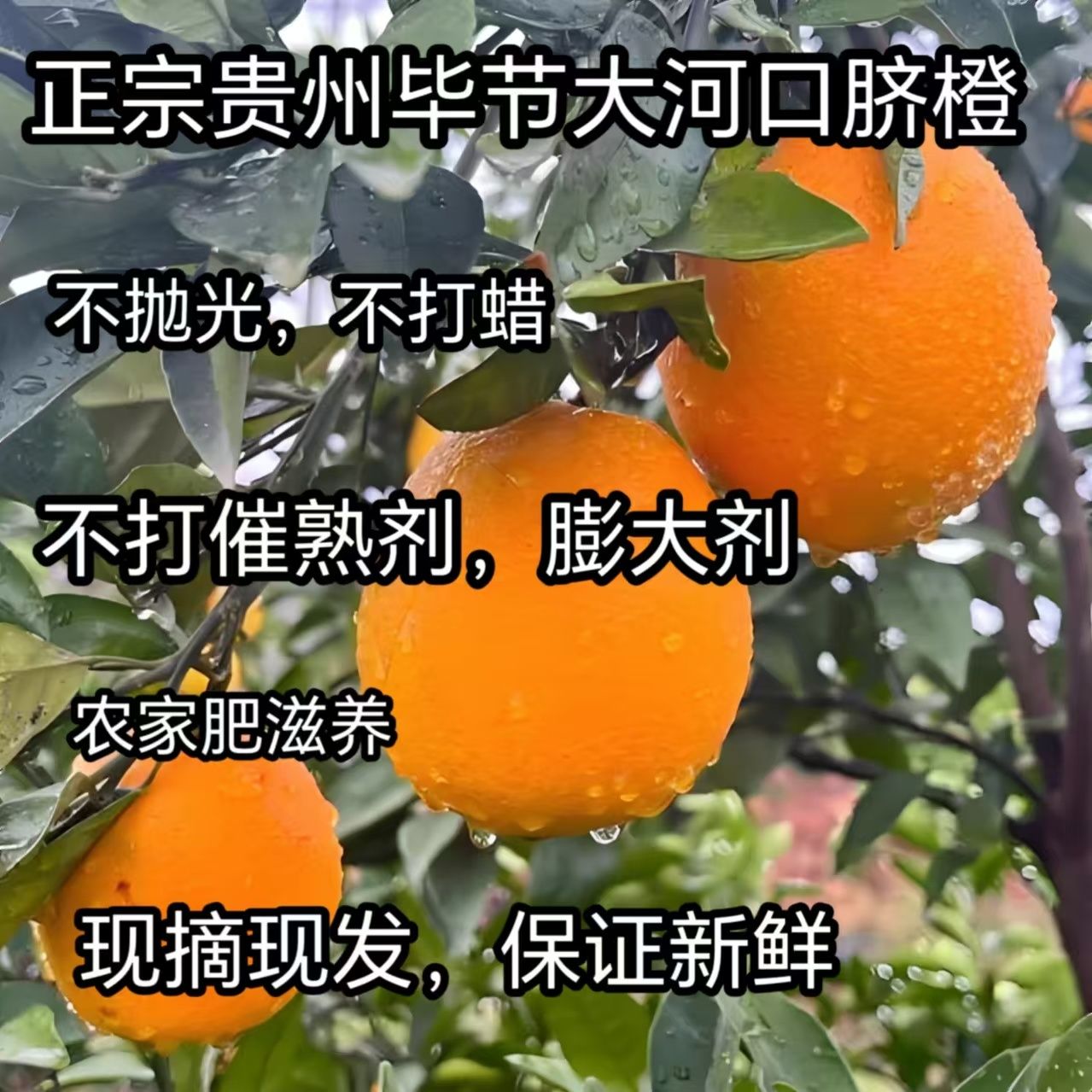 үүһѪճɣݴӿժַʹ
