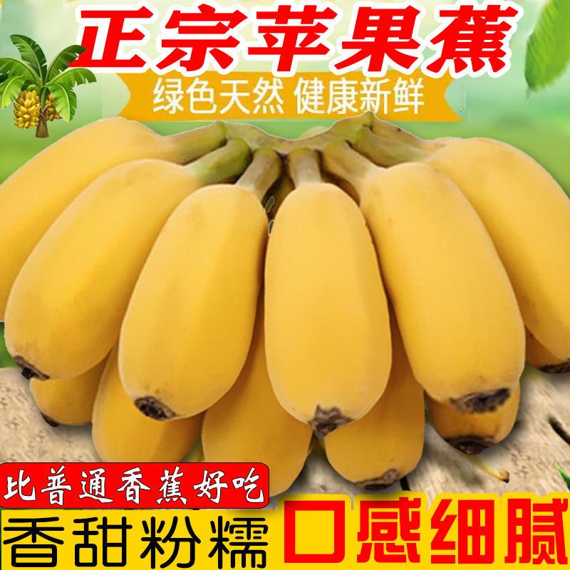 ɽŴԲɰƻ135Žժʰʷ㽶Ž