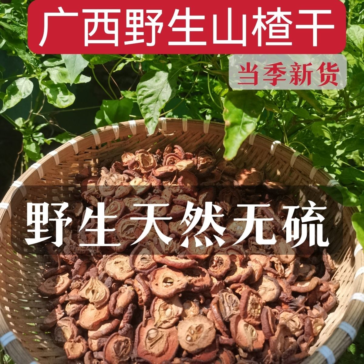 Ұɽ髸ɹֹȻɹɽƬҩؼˮ
