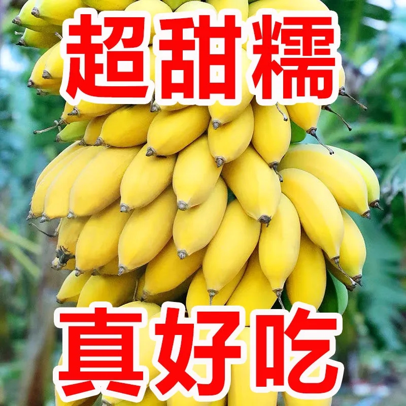С׽㽶ˮ9СŽƻȻ5
