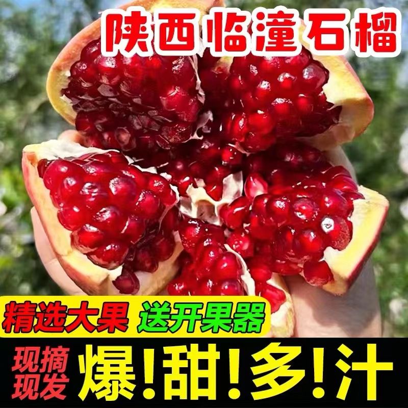 ʯˮزӦʯʯ10
