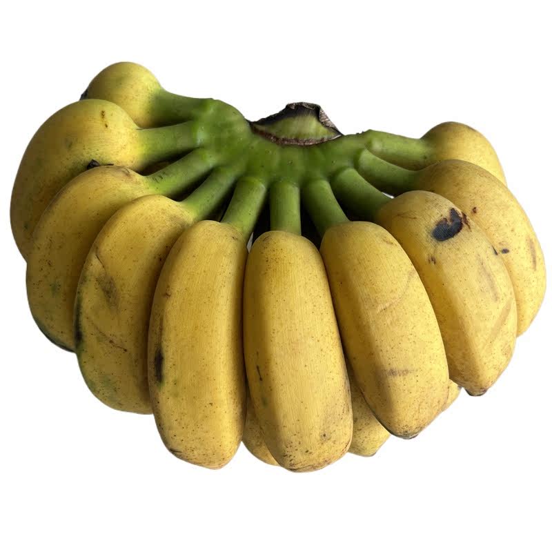 ڹС׽ˮС㽶ֱСŽ