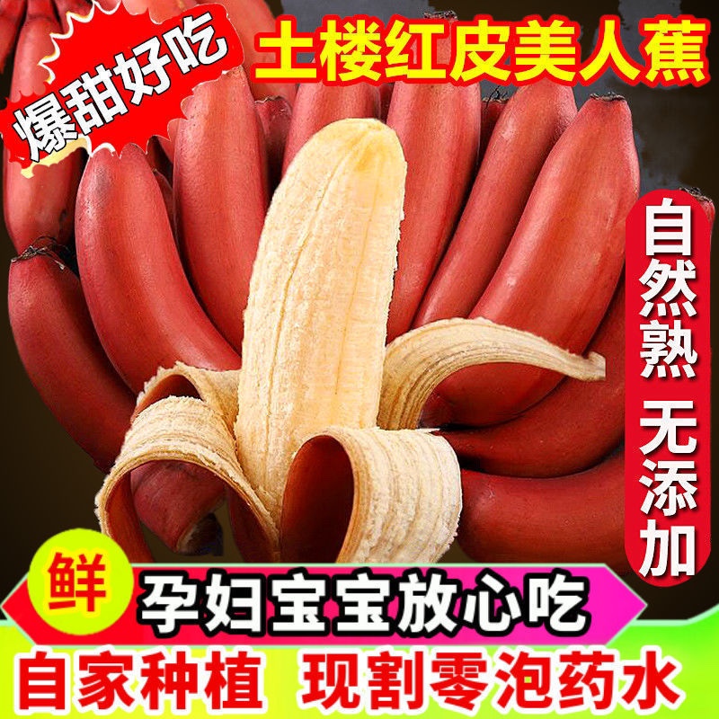˳᡿Ϻ㽶Ƚ10ﵱˮƤ㽶
