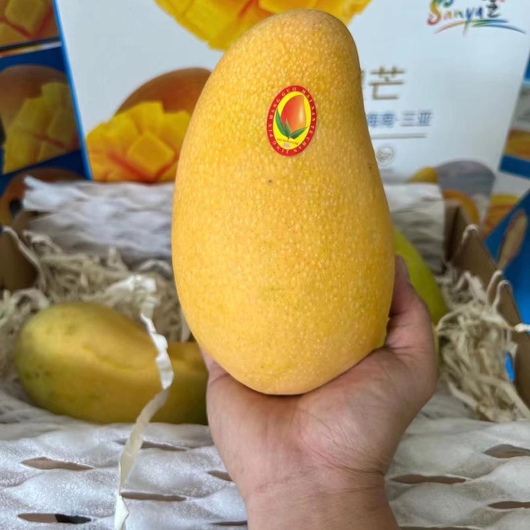˳᡿شâ10װ8Ӧˮâ

