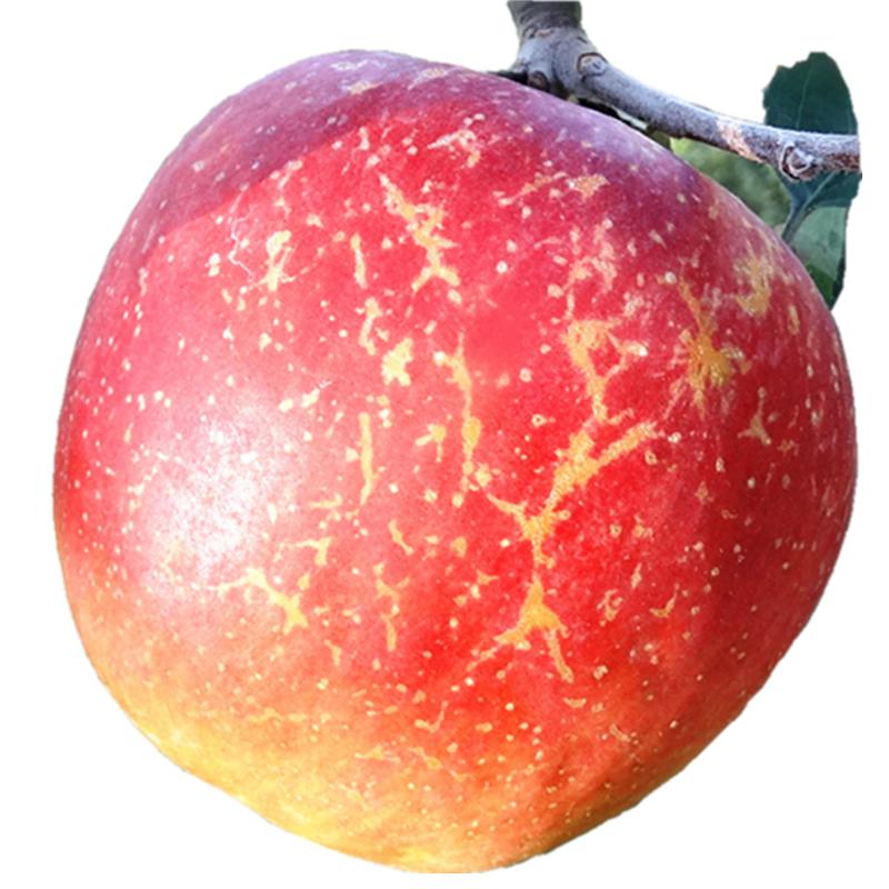 ͨƻƻˮʴ10¶ʿ
