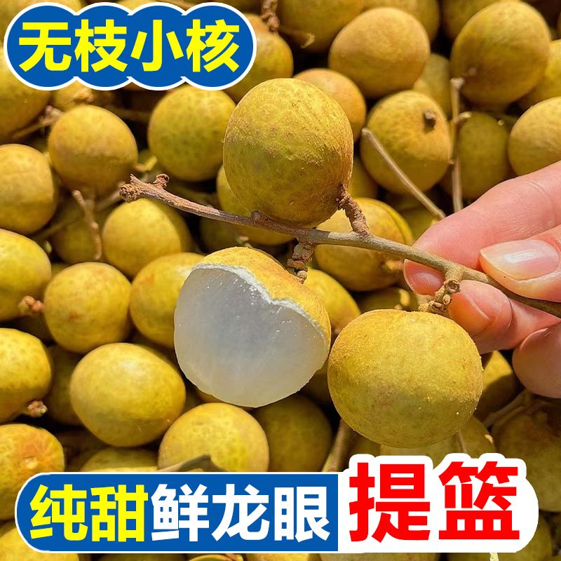 Ʒ̩ժԲ̩ʴش
