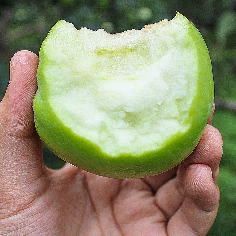 졿ƻƻˮи൱Ӧ츻ʿƽ