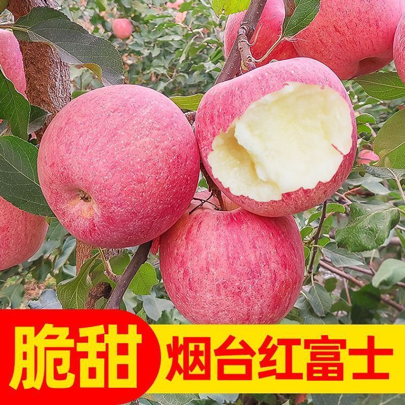 ɽ̨츻ʿƻˮĳƻ