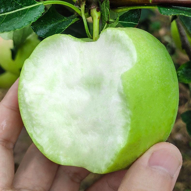 졿ƻƻˮи൱Ӧ츻ʿƽ