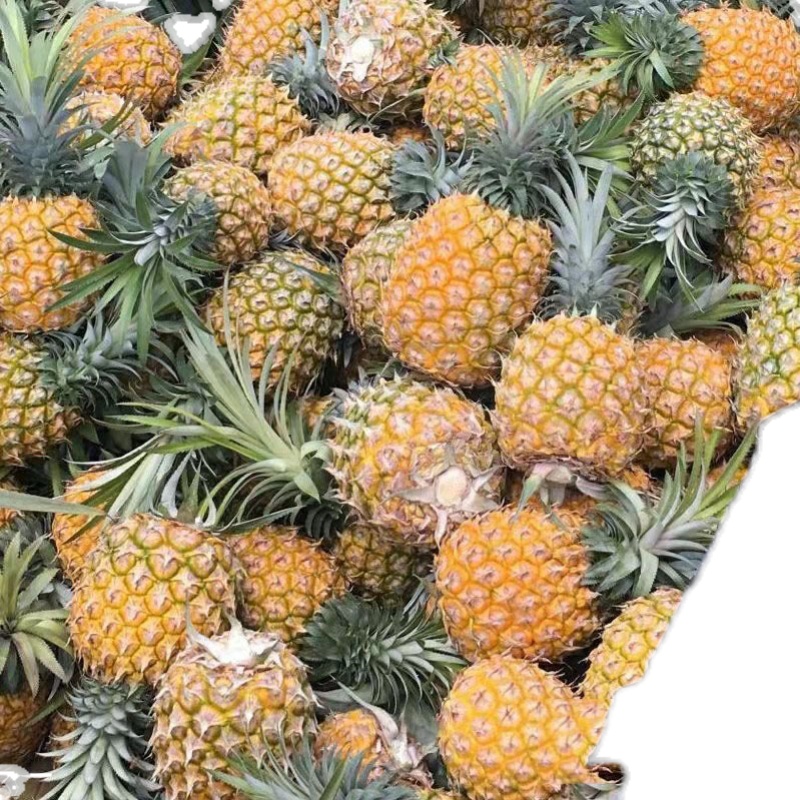 㶫մŲƷװԼ30ﾫƷ