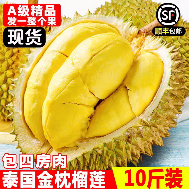 ̩ˮ10һ˳Ӧڰ
