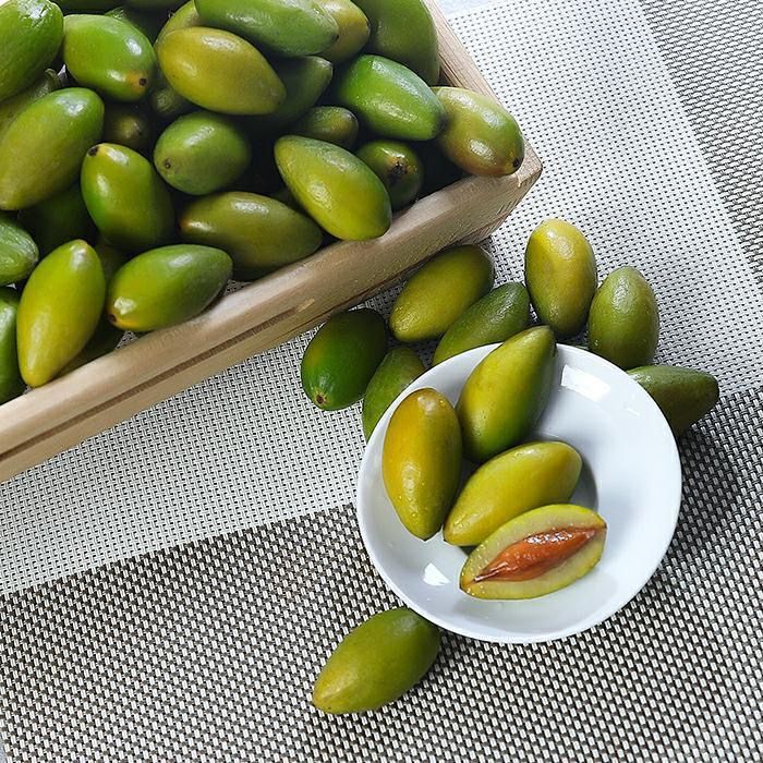 ǽز魹ժʶ魸
