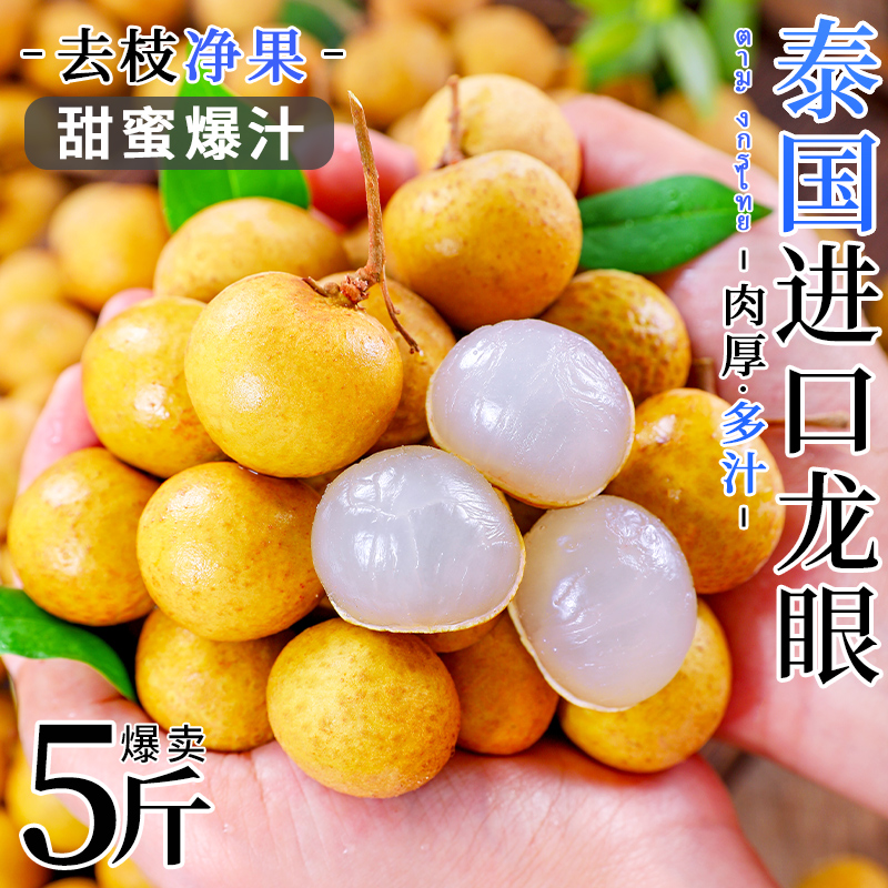 ̩ʽʹԲ5Ӧժˮ
