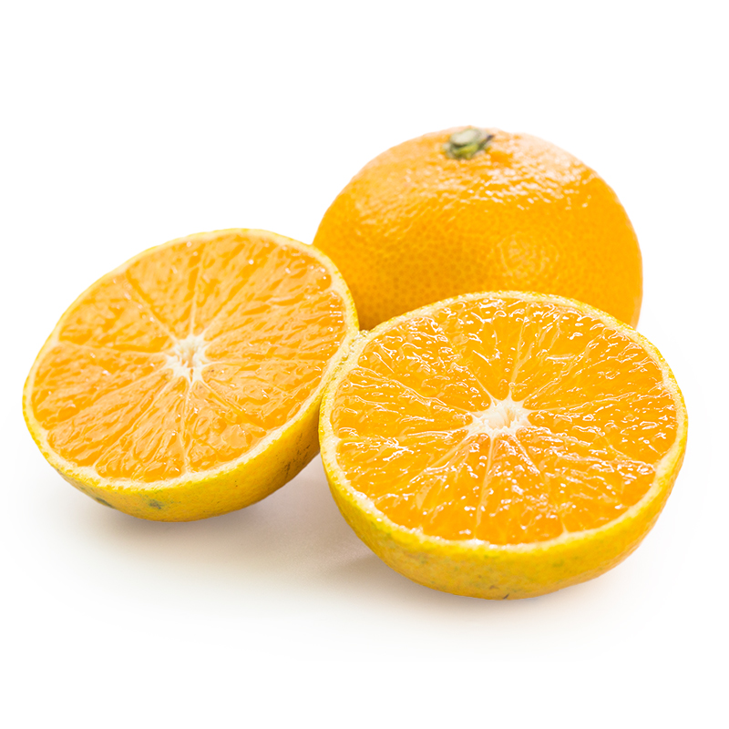 doleֽ۽10ժӦˮ
