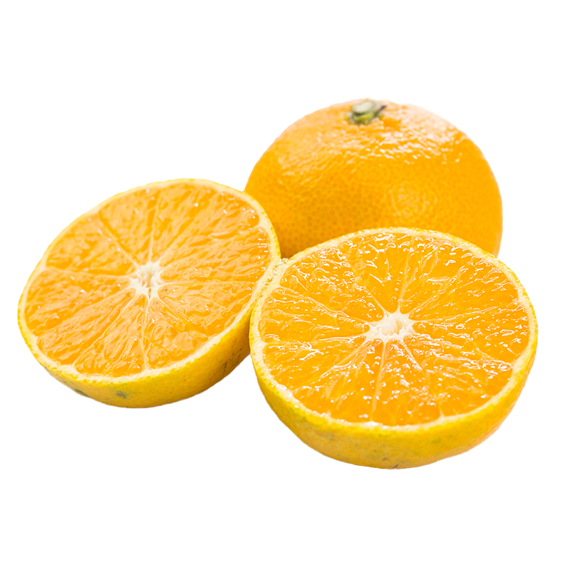doleֽ۽10ժӦˮ
