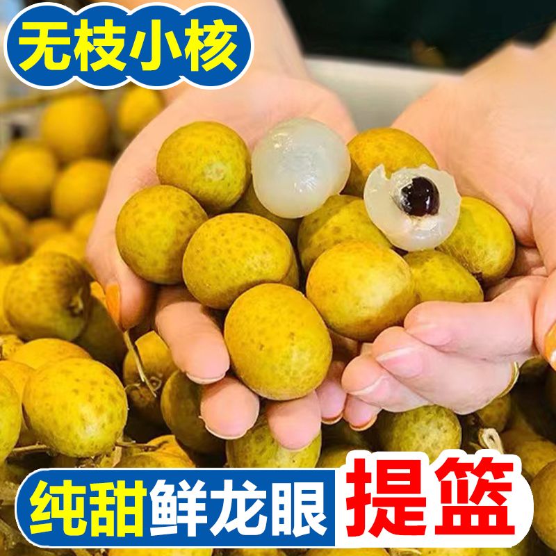 ǽز魹ժʶ魸
