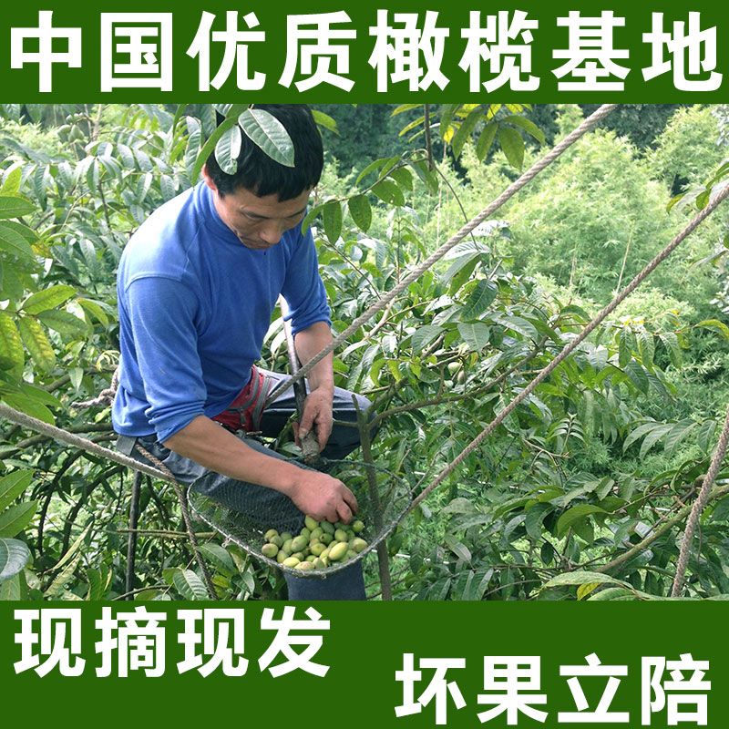 塿4װиˮˮֱժַ