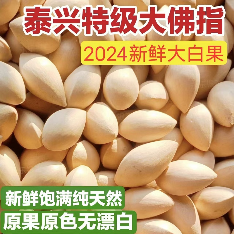 2024̩ʴȻָȻƯװ׹ٷ콢
