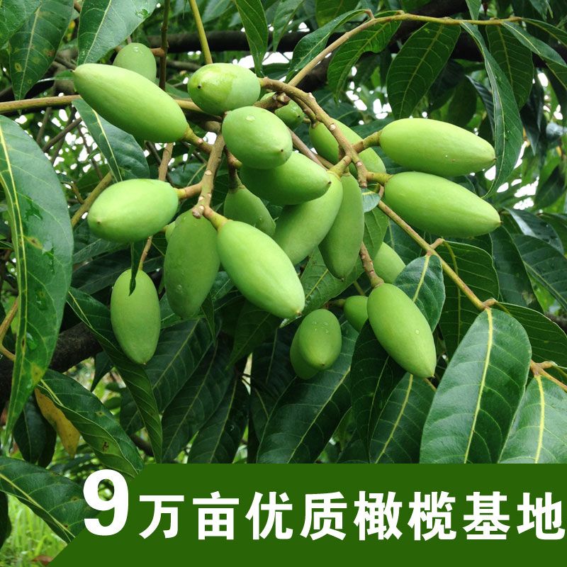 塿4װиˮˮֱժַ