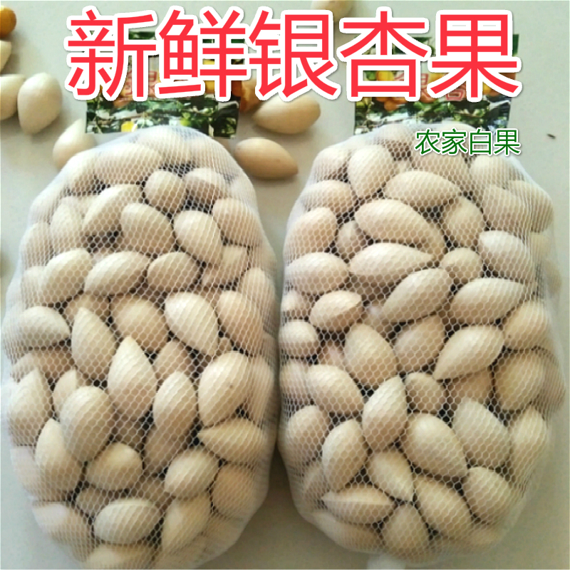 2024꡾׹׹ӹ2ʱʱ
