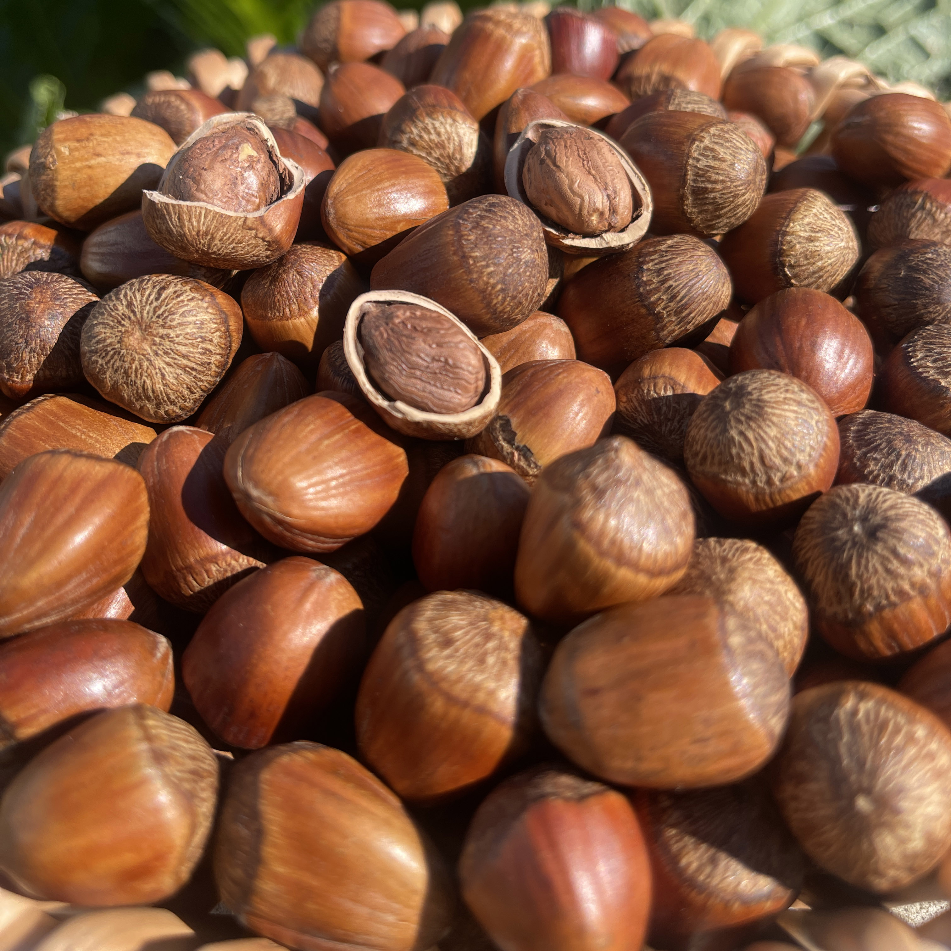 24»زӴӱտ/ڴ500g1000g
